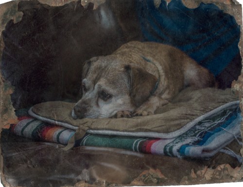 loki-tintype-2376-Edit