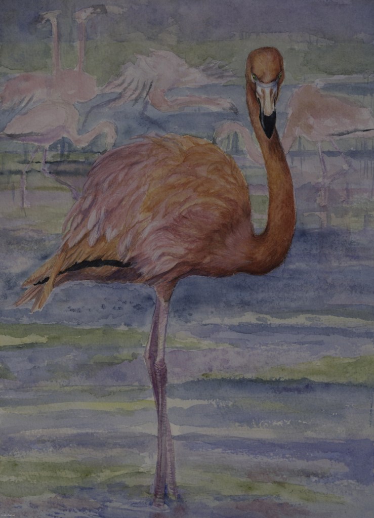 Flamingo Apart by Linda Saboe