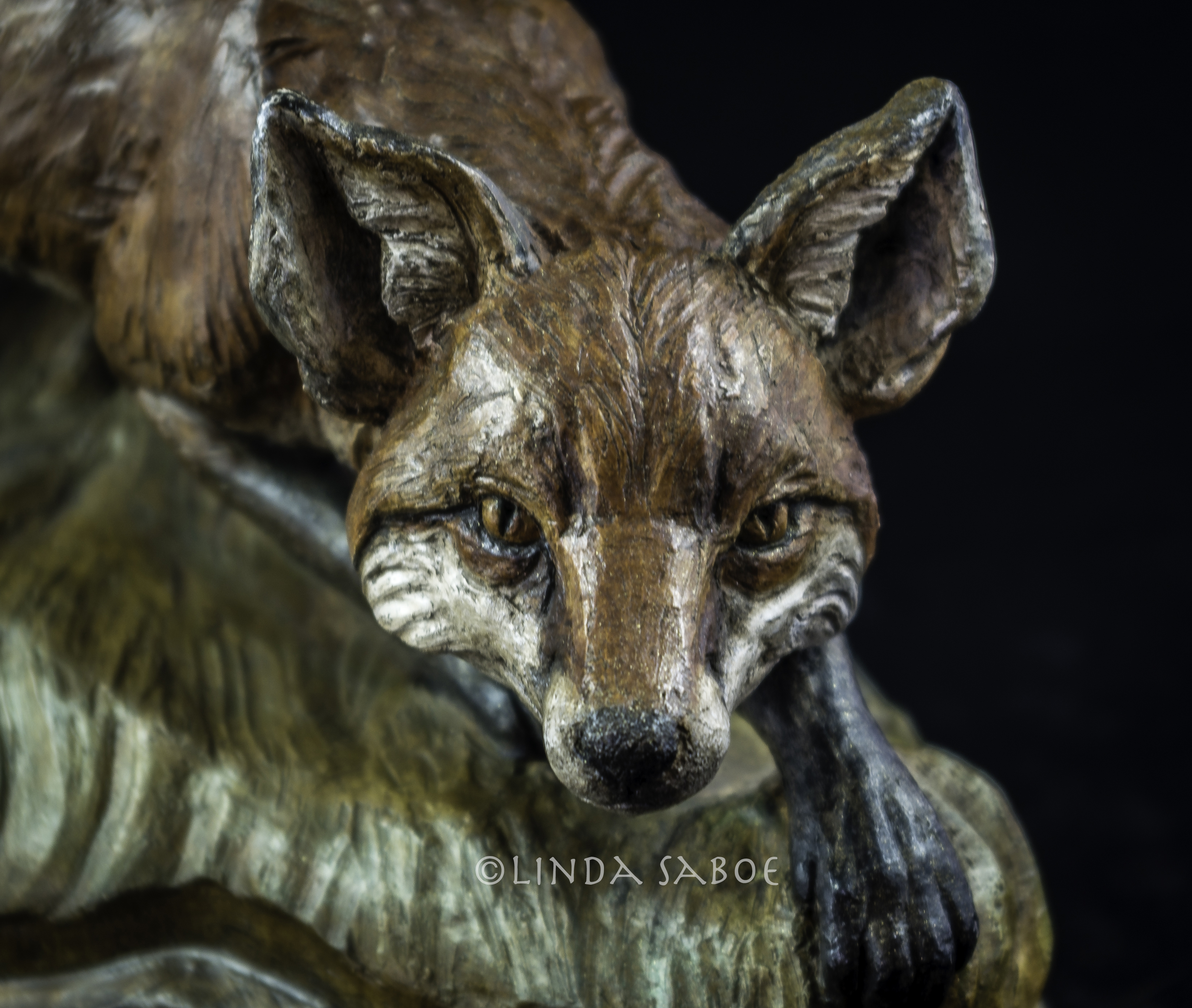 Red Fox by Linda Saboe