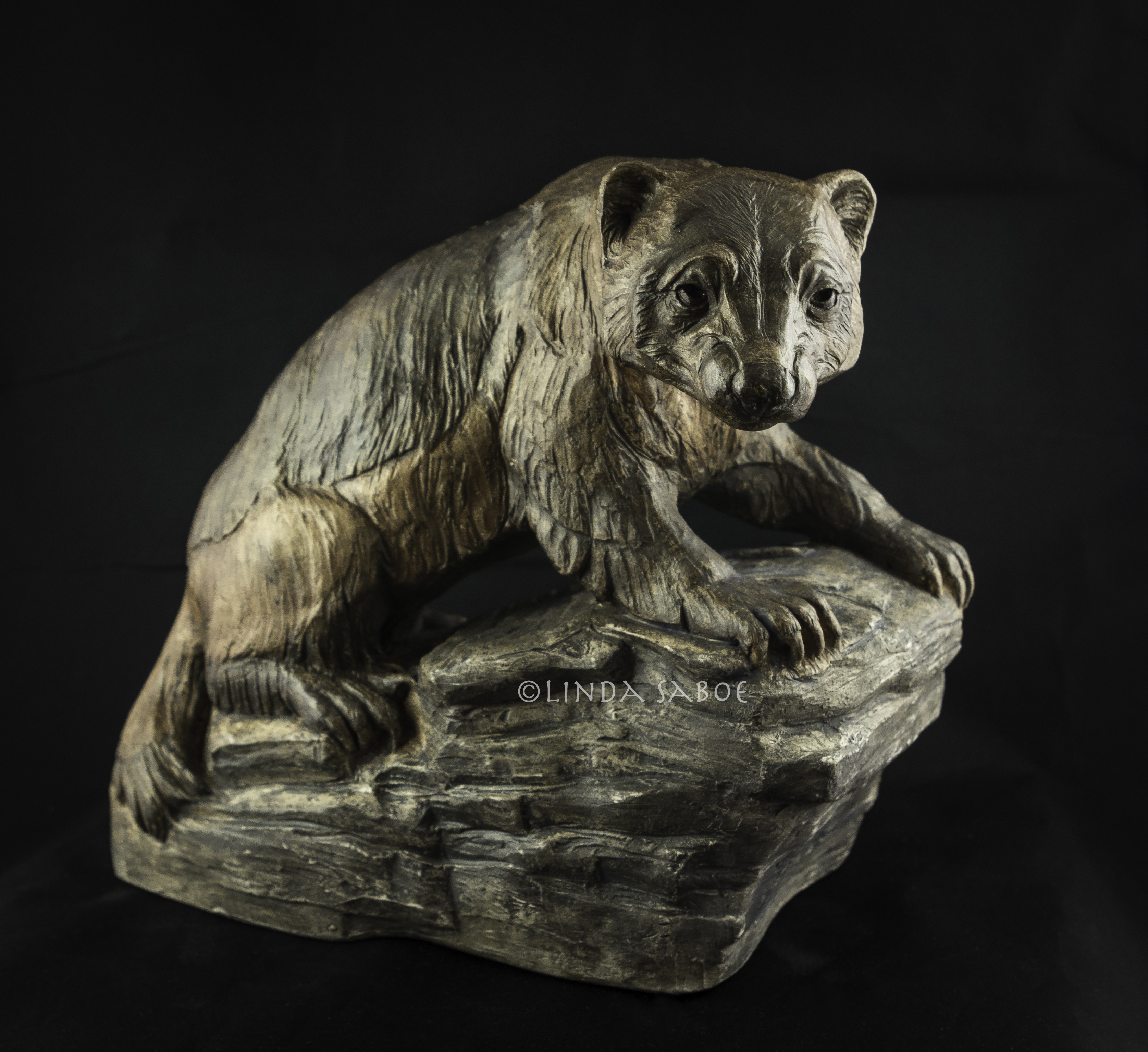 Wolverine Watching by Linda Saboe