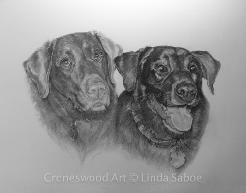 Wil & Moogi, graphite, 14" x 18"