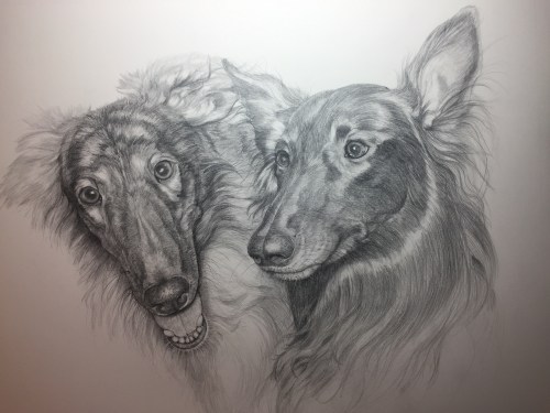 Wil & Moogi, graphite, 14" x 18"