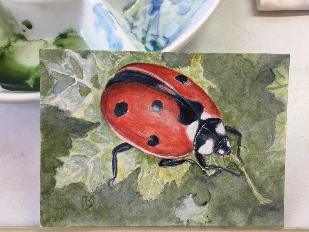 Ladybug by Linda Saboe