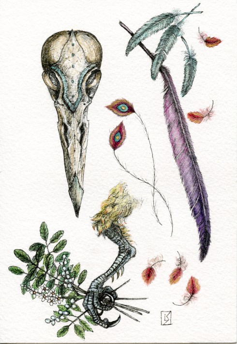 Anatomy of the Last Phoenix by Linda Saboe. Ink and watercolor on paper, 5"x7".